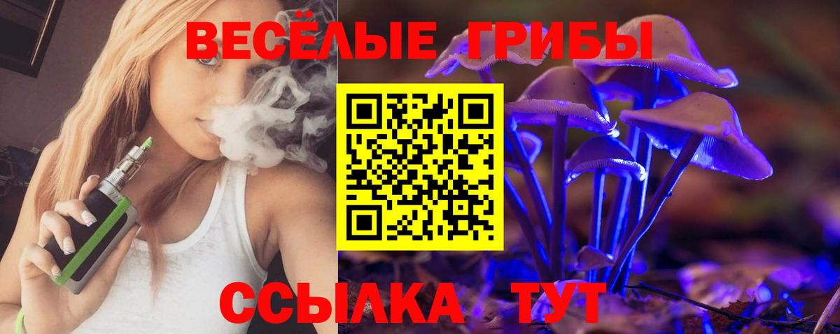 Галлюциногенные грибы прущие грибы  Вход с VPN  Богданович 